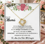 ml:787406-MLM109824380456_042026