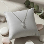 ml:897311-MLM118258042369_092026