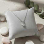 ml:955899-MLM116753194348_092026
